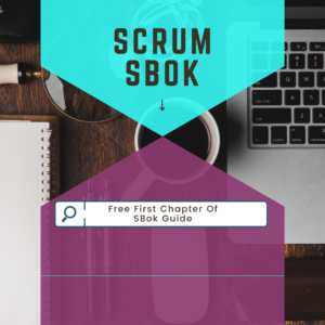 SBOK Guide Chapter 1